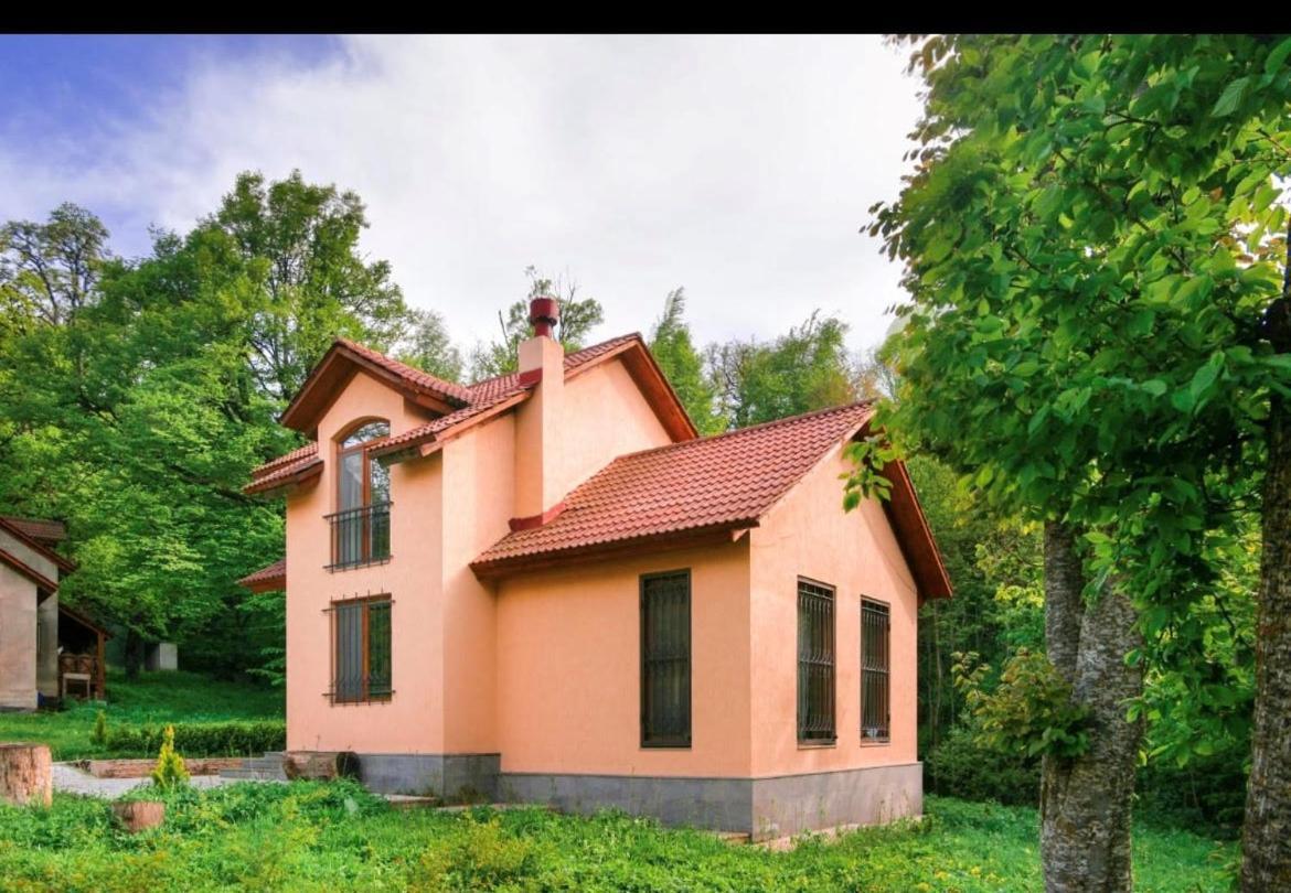 Dilijan Dream House! 3 Bedroom Amazing Villa In National Park! Экстерьер фото